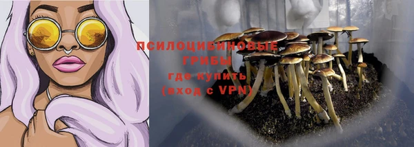 spice Алзамай