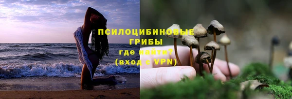 молекула духа Майский
