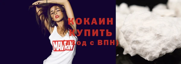spice Алзамай