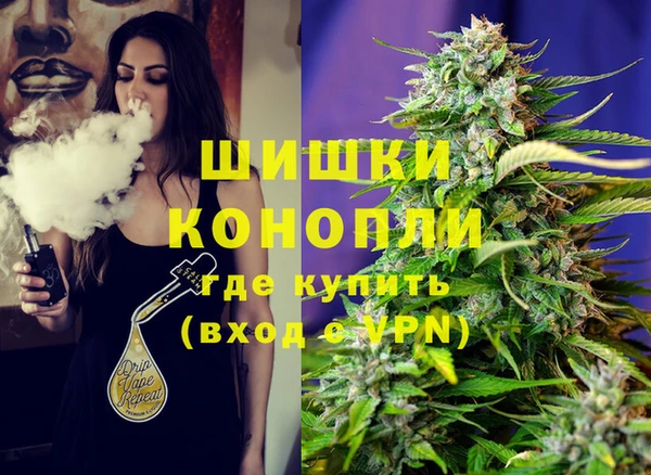 spice Алзамай