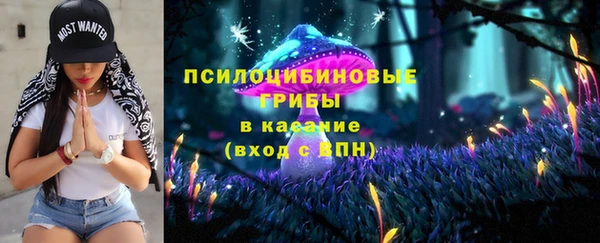 spice Алзамай