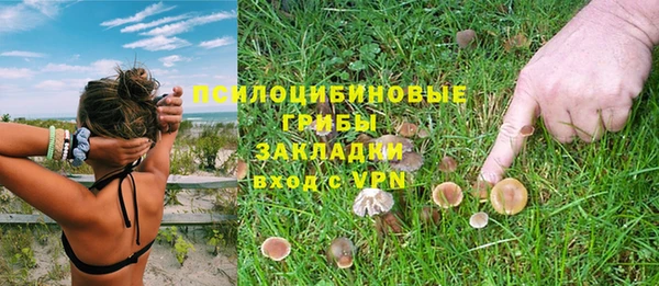 spice Алзамай
