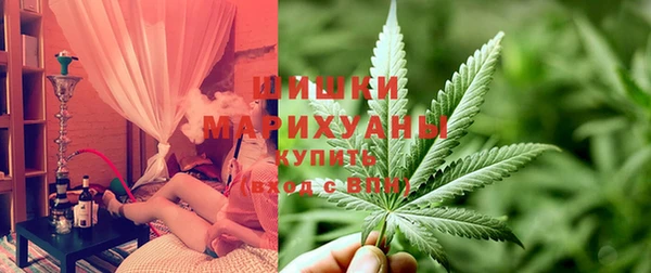 spice Алзамай