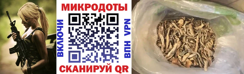 Псилоцибиновые грибы Cubensis  KRAKEN как зайти  Трёхгорный 